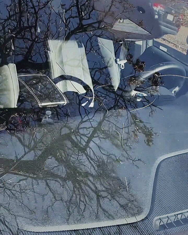Cracked windshield with tree reflections before replacement